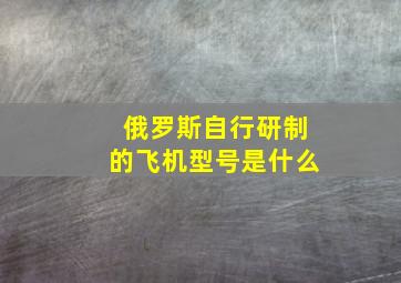 俄罗斯自行研制的飞机型号是什么