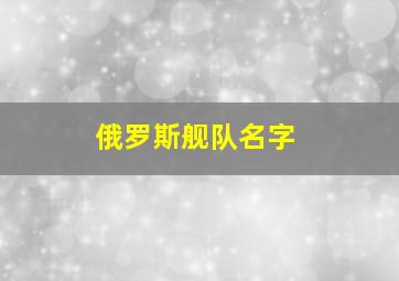 俄罗斯舰队名字