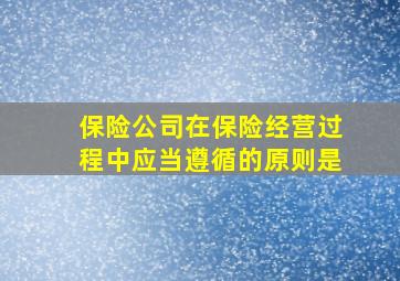 保险公司在保险经营过程中应当遵循的原则是