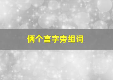 俩个言字旁组词