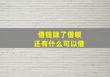 借钱除了借呗还有什么可以借