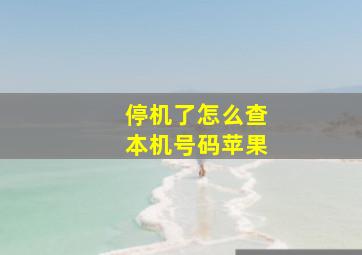 停机了怎么查本机号码苹果