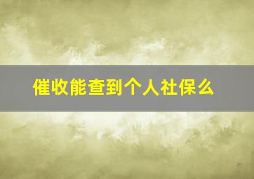 催收能查到个人社保么