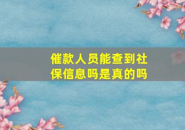 催款人员能查到社保信息吗是真的吗