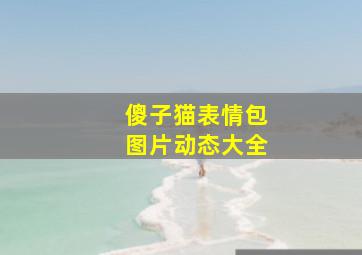 傻子猫表情包图片动态大全