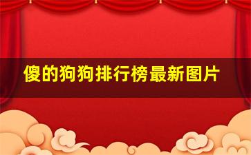 傻的狗狗排行榜最新图片