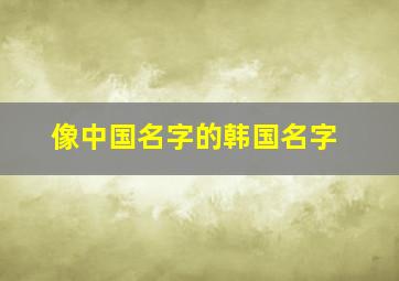 像中国名字的韩国名字