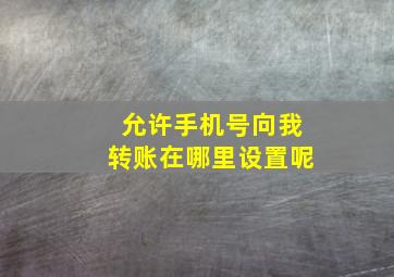 允许手机号向我转账在哪里设置呢