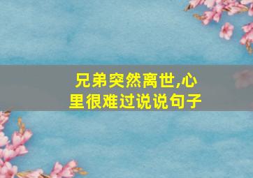 兄弟突然离世,心里很难过说说句子