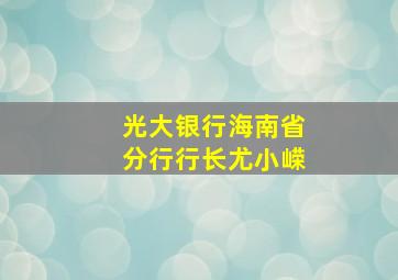 光大银行海南省分行行长尤小嵘