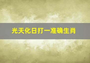 光天化日打一准确生肖