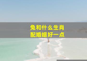 兔和什么生肖配婚姻好一点