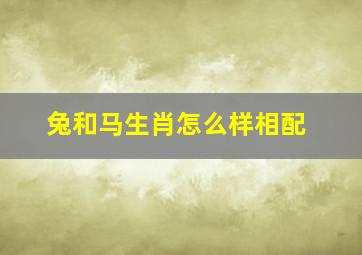 兔和马生肖怎么样相配