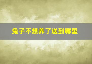 兔子不想养了送到哪里