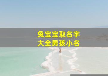 兔宝宝取名字大全男孩小名