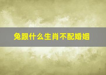 兔跟什么生肖不配婚姻