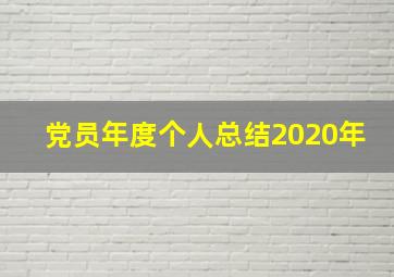 党员年度个人总结2020年