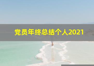 党员年终总结个人2021