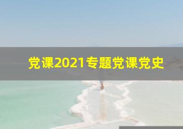 党课2021专题党课党史