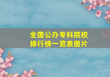 全国公办专科院校排行榜一览表图片