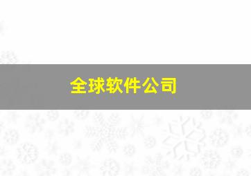 全球软件公司