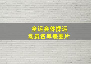 全运会体操运动员名单表图片