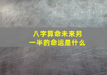 八字算命未来另一半的命运是什么