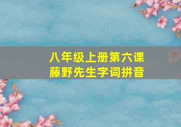 八年级上册第六课藤野先生字词拼音