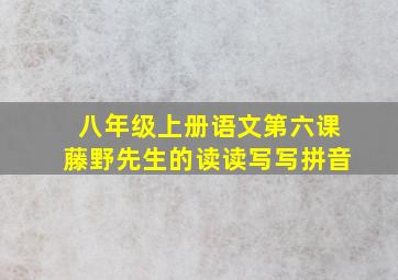 八年级上册语文第六课藤野先生的读读写写拼音