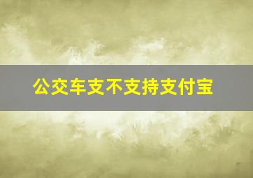 公交车支不支持支付宝