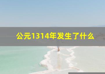 公元1314年发生了什么