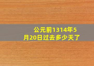 公元前1314年5月20日过去多少天了