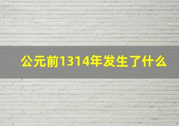 公元前1314年发生了什么