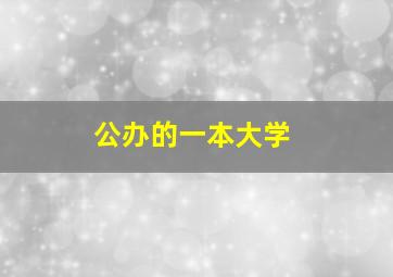 公办的一本大学