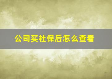 公司买社保后怎么查看