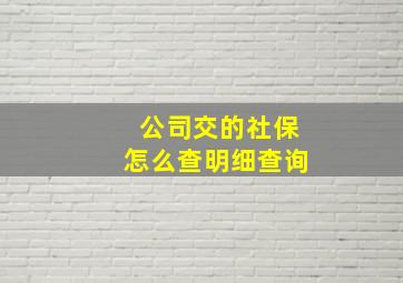 公司交的社保怎么查明细查询