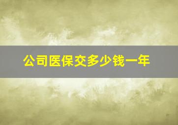 公司医保交多少钱一年