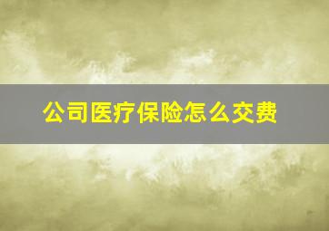 公司医疗保险怎么交费