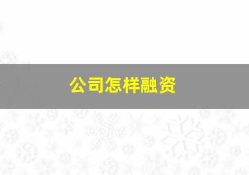 公司怎样融资