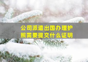 公司派遣出国办理护照需要提交什么证明