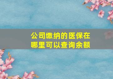 公司缴纳的医保在哪里可以查询余额