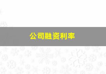 公司融资利率