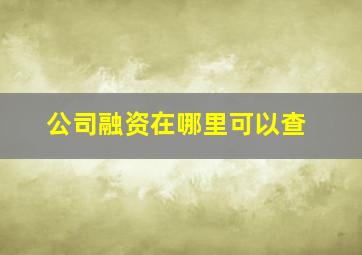 公司融资在哪里可以查