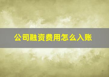 公司融资费用怎么入账