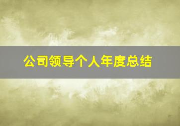 公司领导个人年度总结