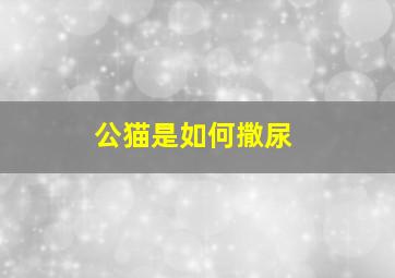 公猫是如何撒尿