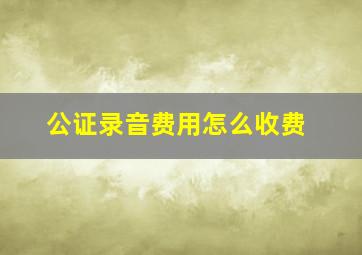 公证录音费用怎么收费