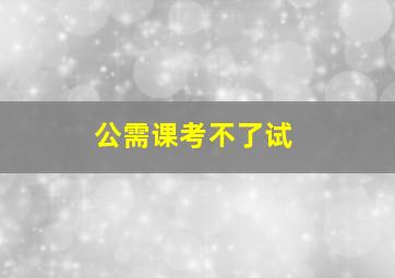 公需课考不了试