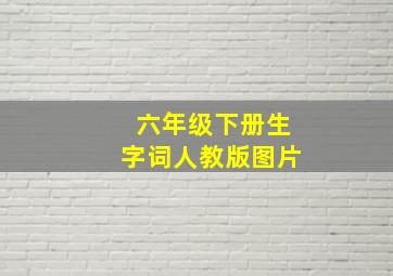 六年级下册生字词人教版图片