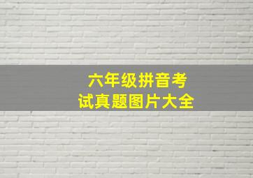 六年级拼音考试真题图片大全